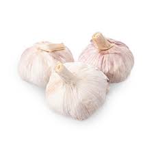 Garlic